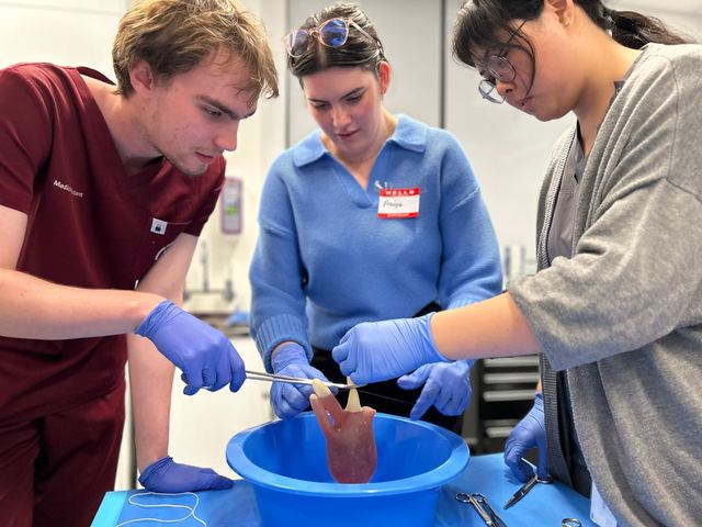 Students practising surgical skills